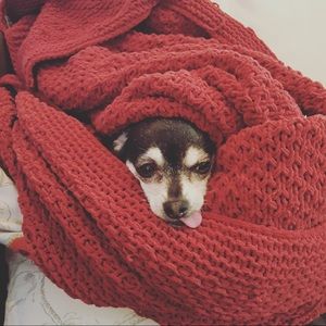 Meet your Posher, Lena